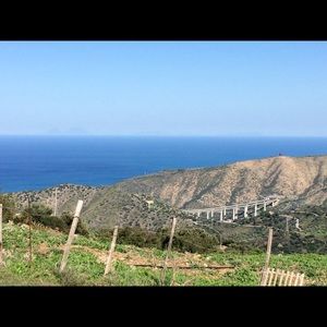 Meet your Posher, Maryann